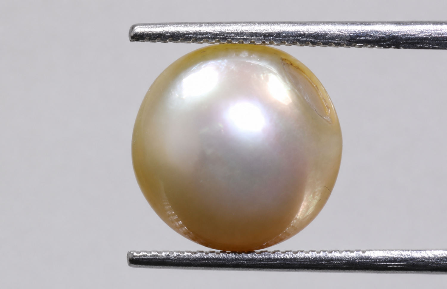 Australian Pearl (Moti) 7.52 Ct
